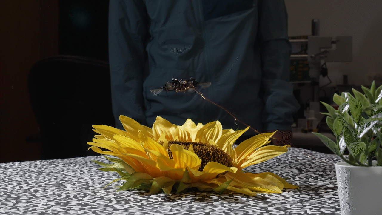 sensor_2026.gif